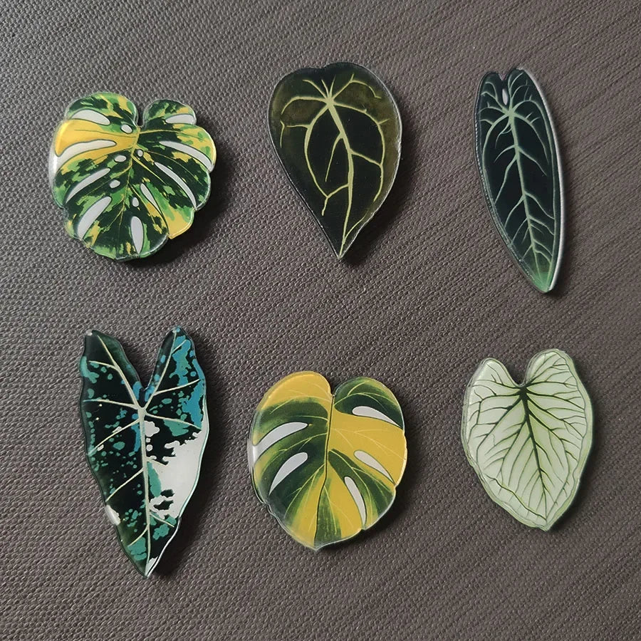 Tropical Fridge Magnets - Begonia Monstera, Kawaii Plants, 6-Piece Set