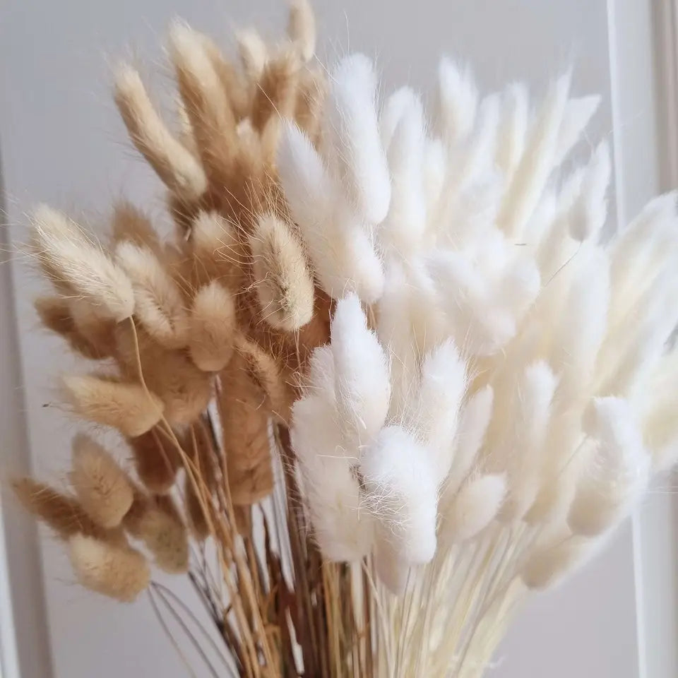 Dried Rabbit Tail Grass Bouquet - Natural Wedding Decor
