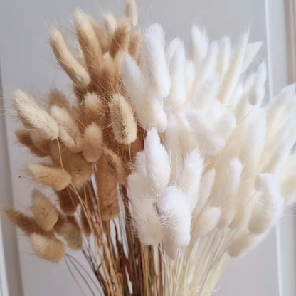 Dried Rabbit Tail Grass Bouquet - Natural Wedding Decor