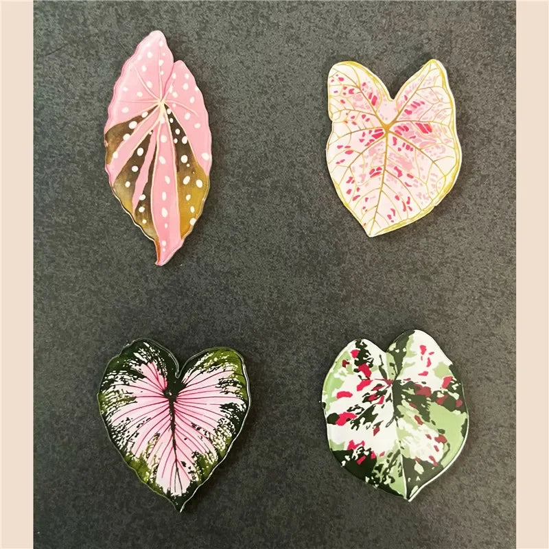 Tropical Fridge Magnets - Begonia Monstera, Kawaii Plants, 6-Piece Set