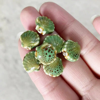 Ceramic Shell Beads - DIY Jewelry Making Charms