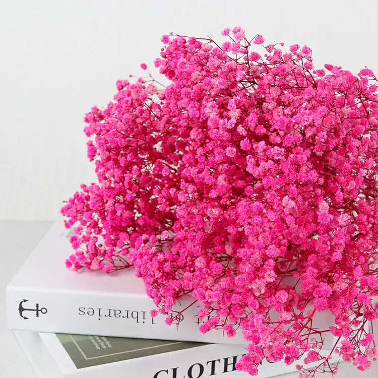 Dried Baby's Breath Bouquet - Natural Gypsophila for Décor