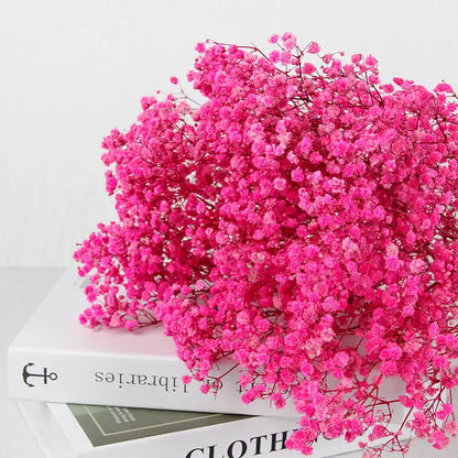 Dried Baby's Breath Bouquet - Natural Gypsophila for Décor