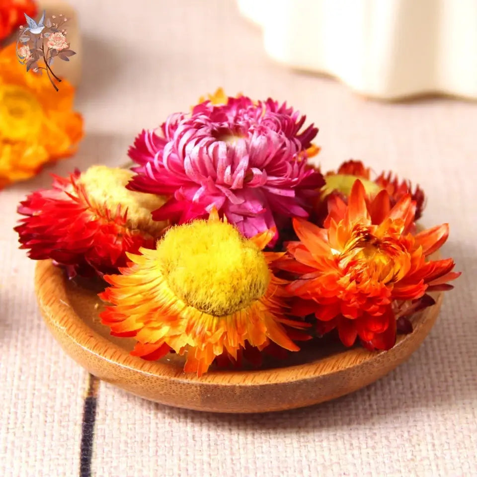 Dried Daisy Flowers - Natural Decor for Crafts & Events | sitezone test 02