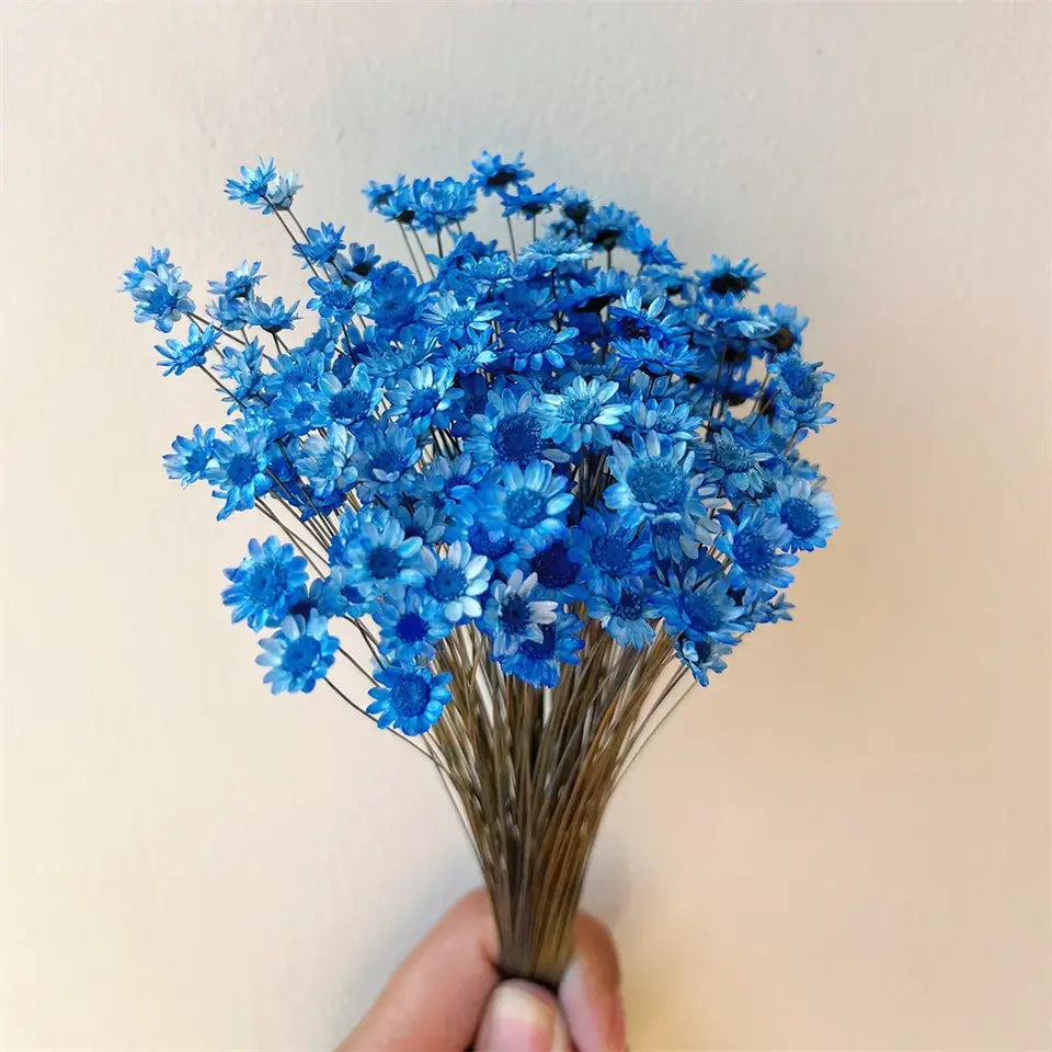 Dried Star Daisy Bouquet - Natural Floral Decor | sitezone test 02
