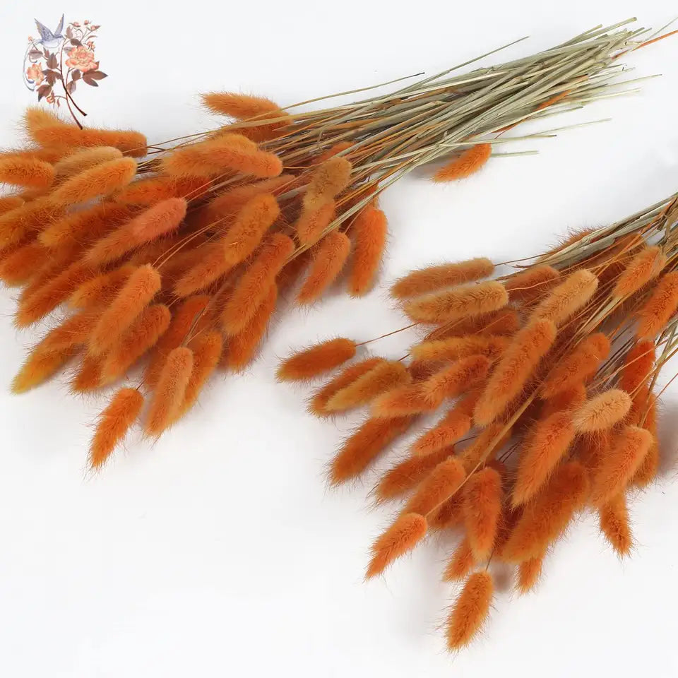 Dried Rabbit Tail Grass Bouquet - Natural Wedding Decor