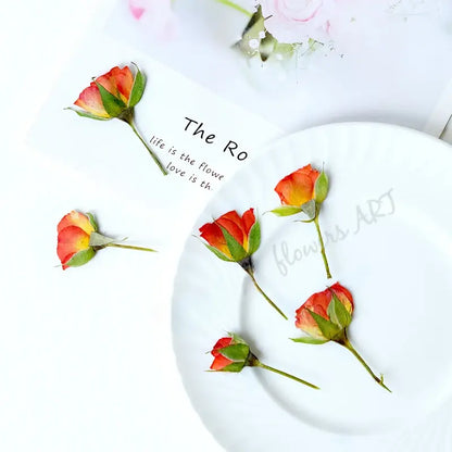 Pressed Rose Buds - DIY Craft Flowers | Sitezone Test 02