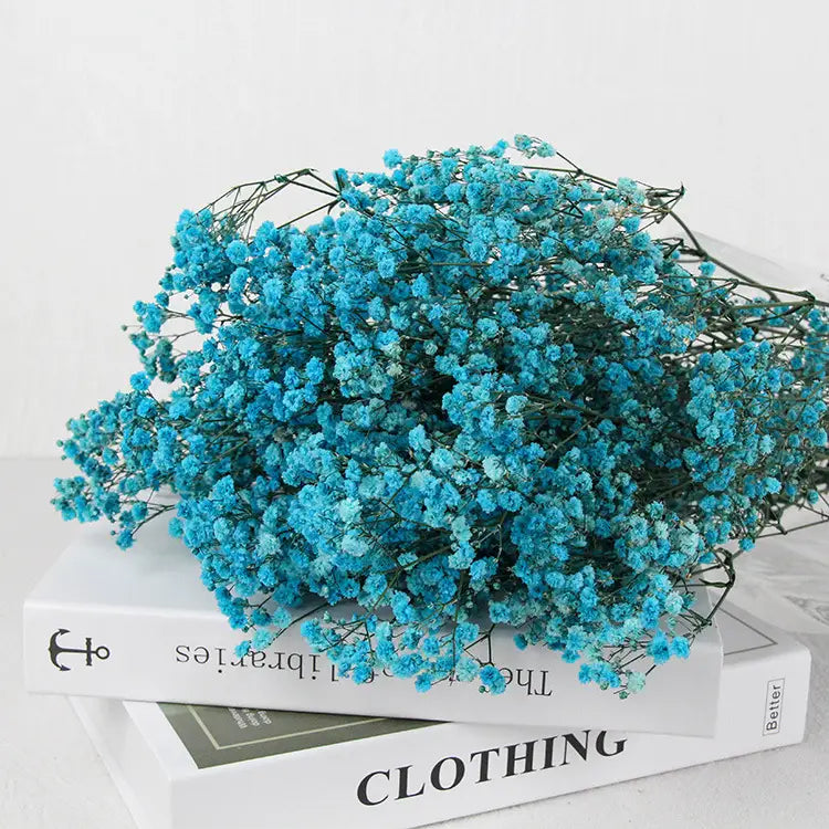 Dried Baby's Breath Bouquet - Natural Gypsophila for Décor
