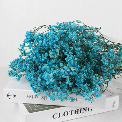 Dried Baby's Breath Bouquet - Natural Gypsophila for Décor