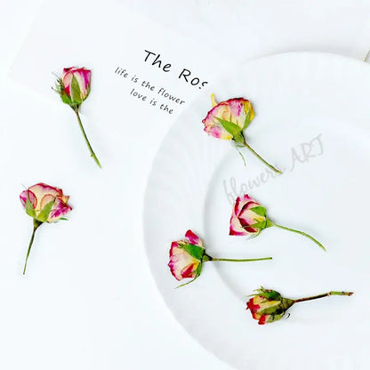 Pressed Rose Buds - DIY Craft Flowers | Sitezone Test 02