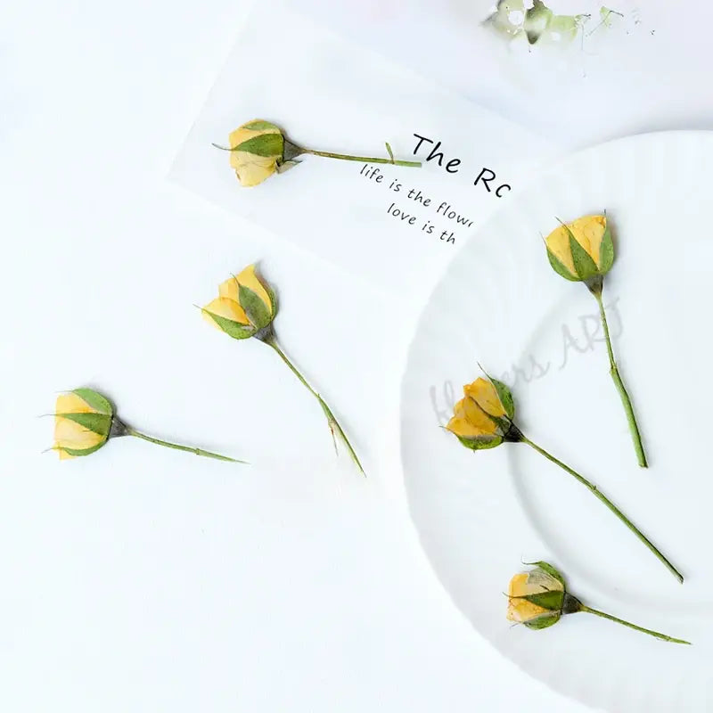 Pressed Rose Buds - DIY Craft Flowers | Sitezone Test 02