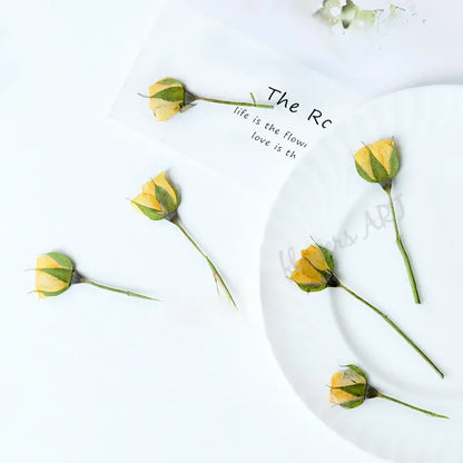 Pressed Rose Buds - DIY Craft Flowers | Sitezone Test 02