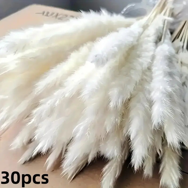 Dried Pampas Grass Bouquet - Boho Home Decor | sitezone test 02