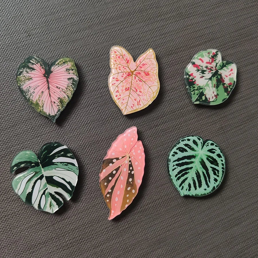 Tropical Fridge Magnets - Begonia Monstera, Kawaii Plants, 6-Piece Set