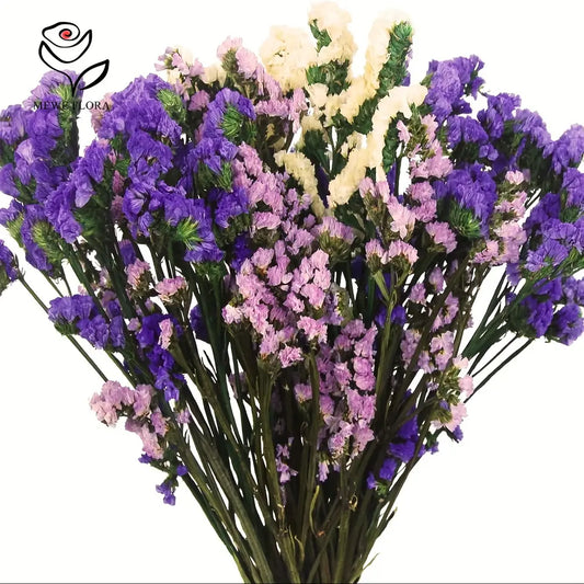 Preserved Forget-Me-Not Flowers – Romantic Gift for Couples