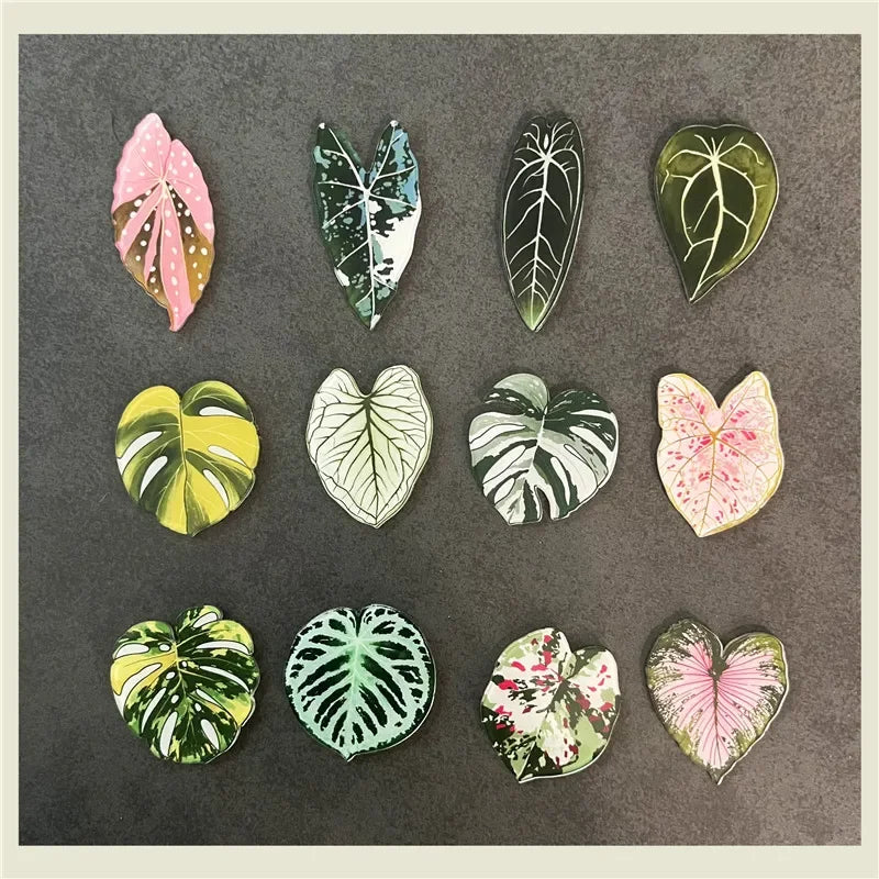 Tropical Fridge Magnets - Begonia Monstera, Kawaii Plants, 6-Piece Set