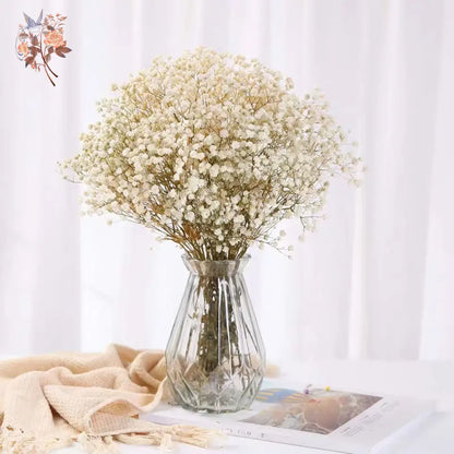 Dried Baby's Breath Bouquet - Natural Gypsophila for Décor