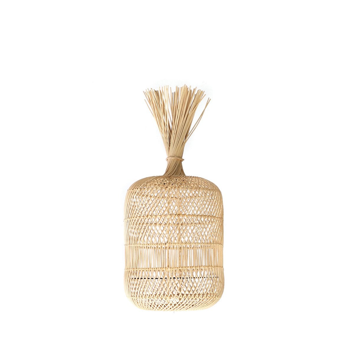 Rattan Floor Lamp Pendant - Natural Woven Dumpling Light - Small