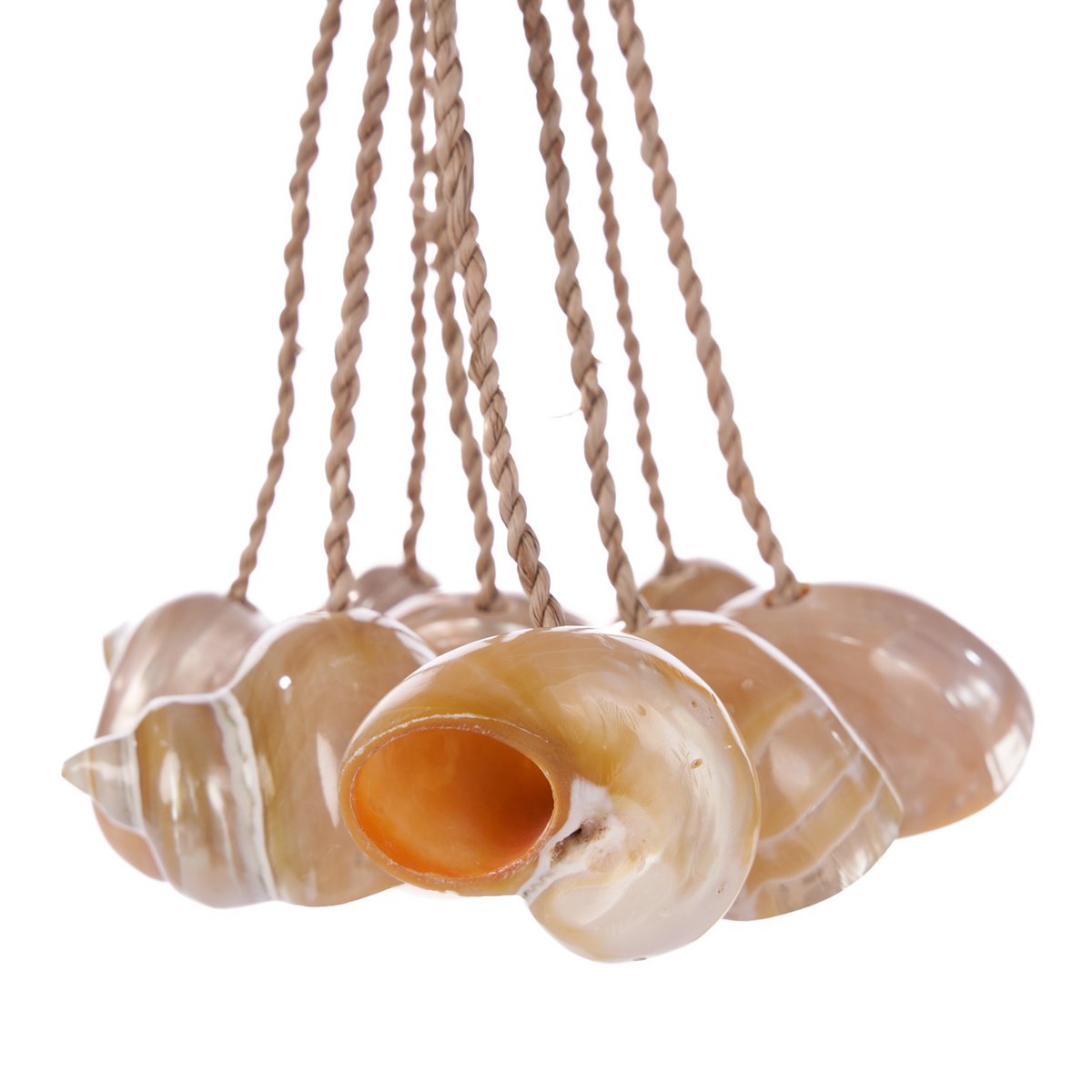 Natural Conch Shell Tassel - Coastal Wall Hanging