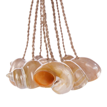 Natural Conch Shell Tassel - Coastal Wall Hanging