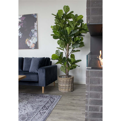 Artificial Fiddle Leaf Tree – 190cm Realistic Green Indoor Plant