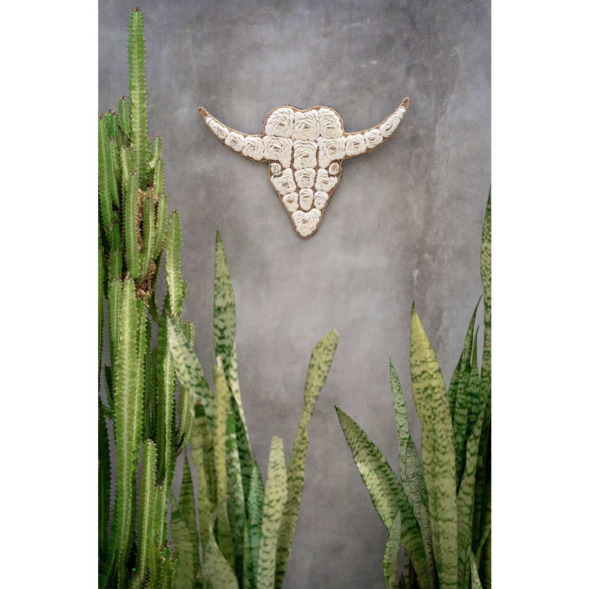 El Toro de Concha - Blanco