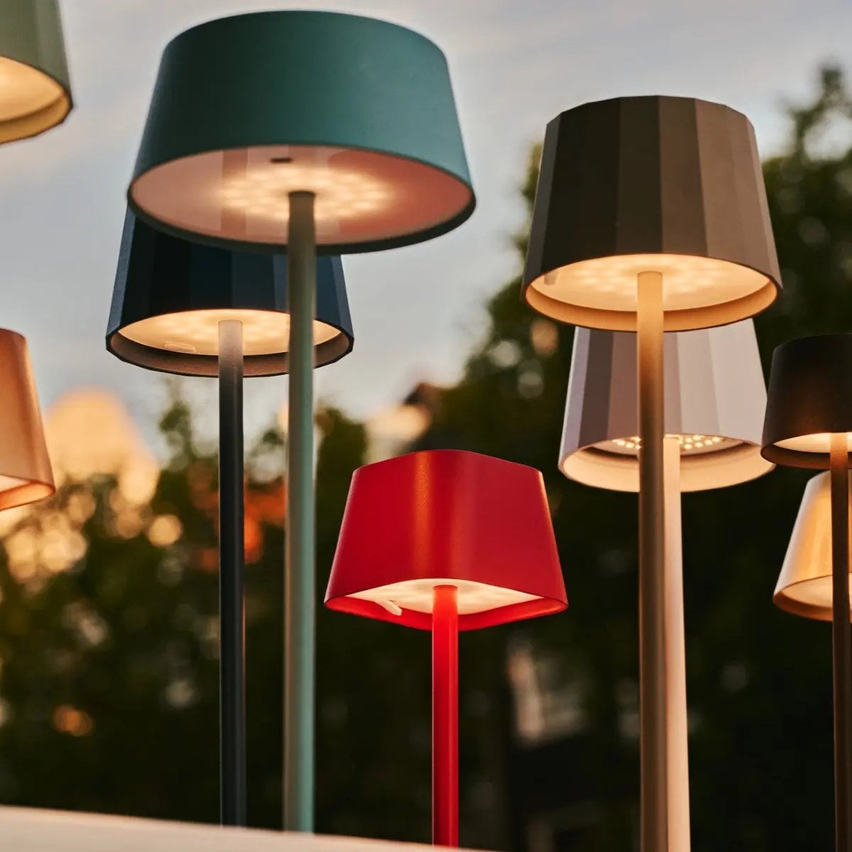Bear Dark Brown Rechargeable Lamp | Cordless, Dimmable & Up to 100 Hours of Battery Life