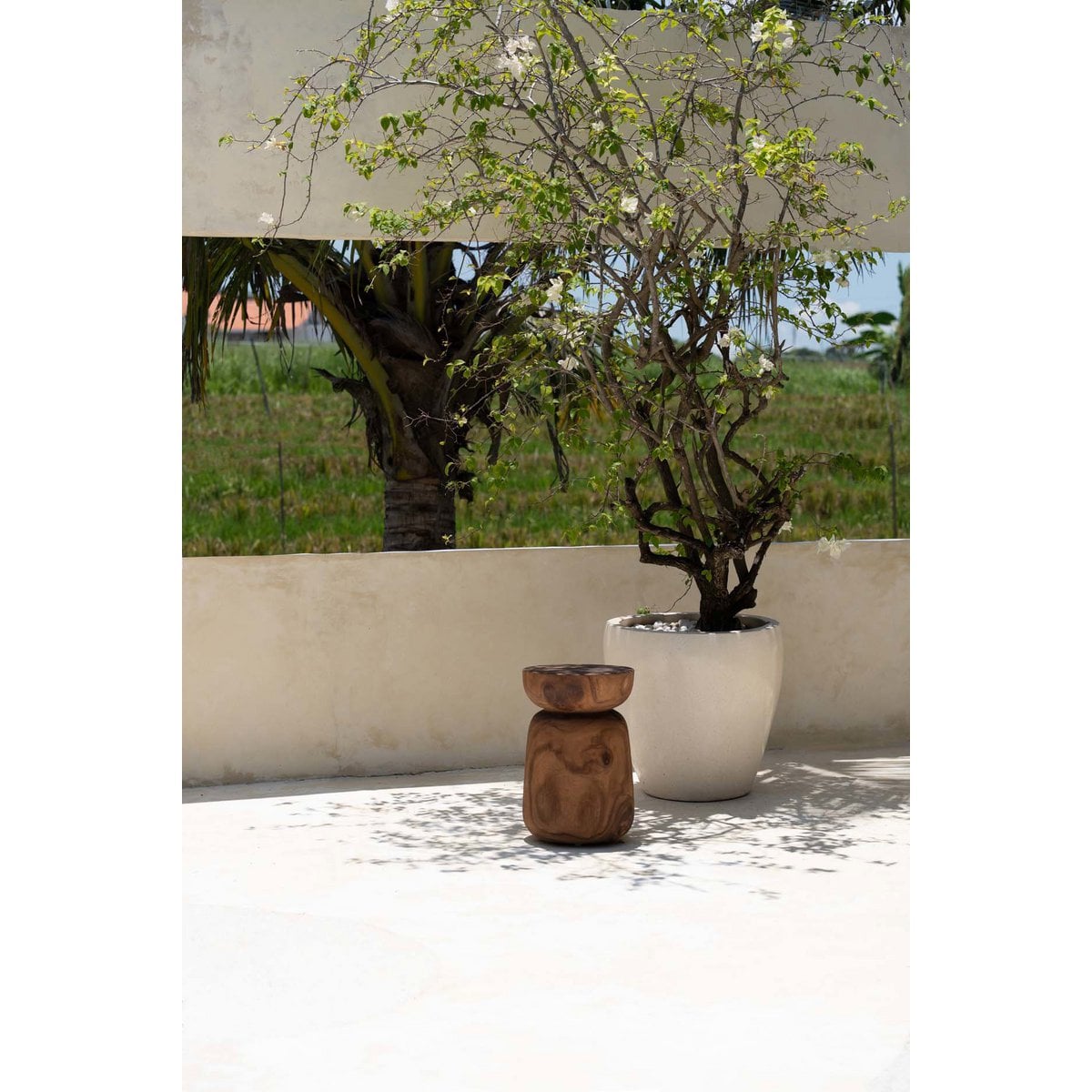 Suar Wood Stool - Natural Round Accent Stool or Side Table