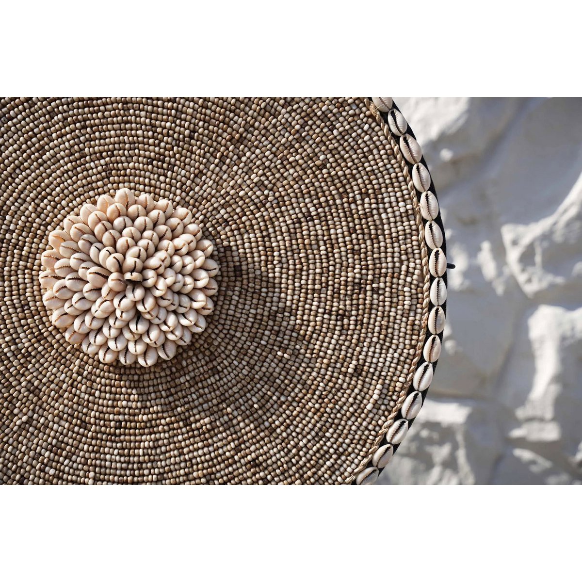 Natural White Shell on Stand – Coastal Home Decor Accent Piece