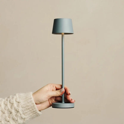 Cordless Table Lamp Dimmable – Grey Mini Mouse Lamp for Hospitality