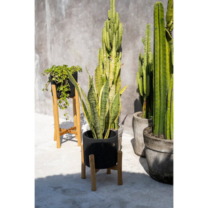 Terracotta Plant Pot - Black Teak Planter for Dry Flowers, Small