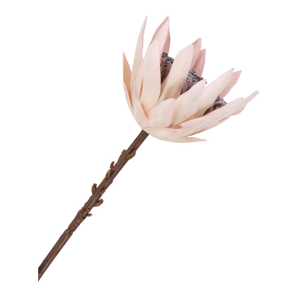 Königs-Protea-Strauß – Künstliche Blumen, Bordeaux-Mix, 65 cm