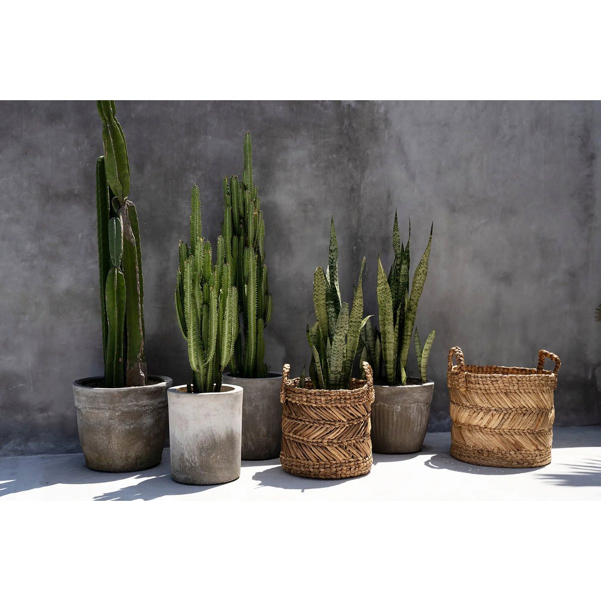 Banana Leaf Basket - Zigzag Design, Medium