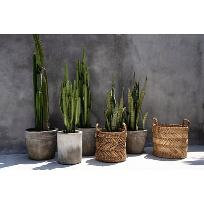 Banana Leaf Basket - Zigzag Design, Medium