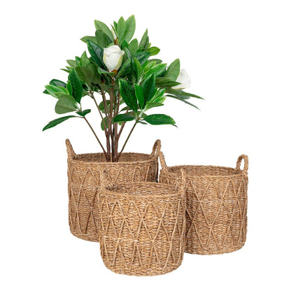 Krabi Basket - Panier, roseaux de mer, naturel, ensemble de 3