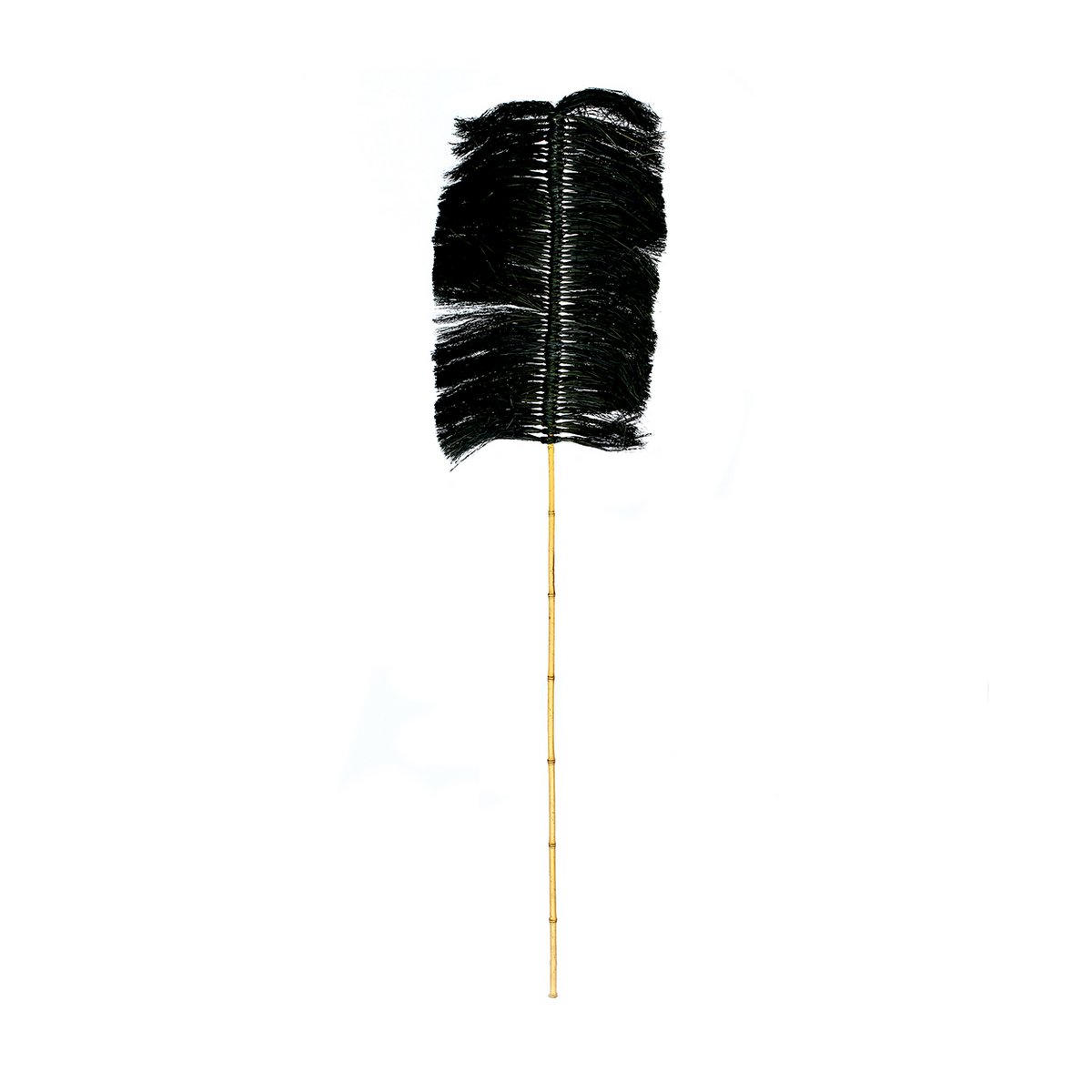 Raffia Palmeira - Black