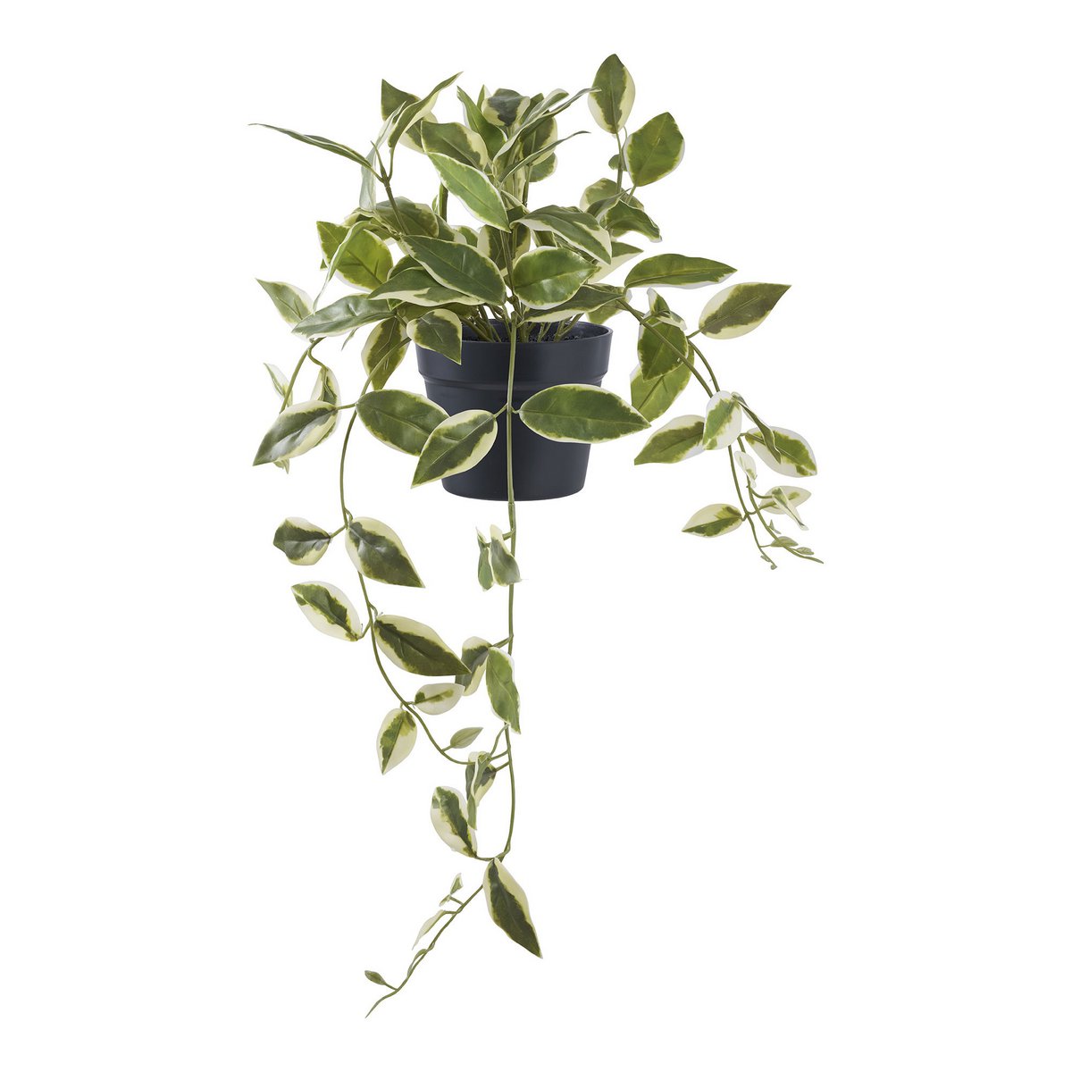 Artificial Hoya Carnosa Plant – 33cm Realistic Greenery