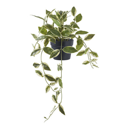 Artificial Hoya Carnosa Plant – 33cm Realistic Greenery