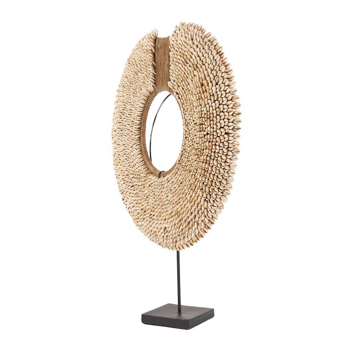 Seashell Display on Stand - Natural Coastal Decor, Shell Réunion