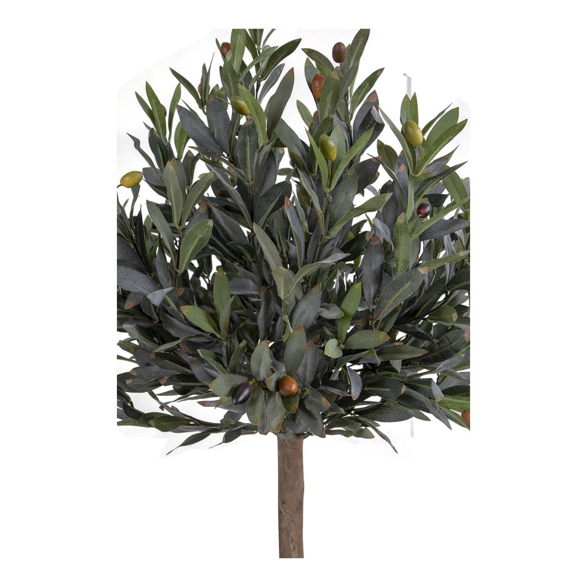 Olivo - Verde, Plástico PE/Poliéster, 43x47x120 cm