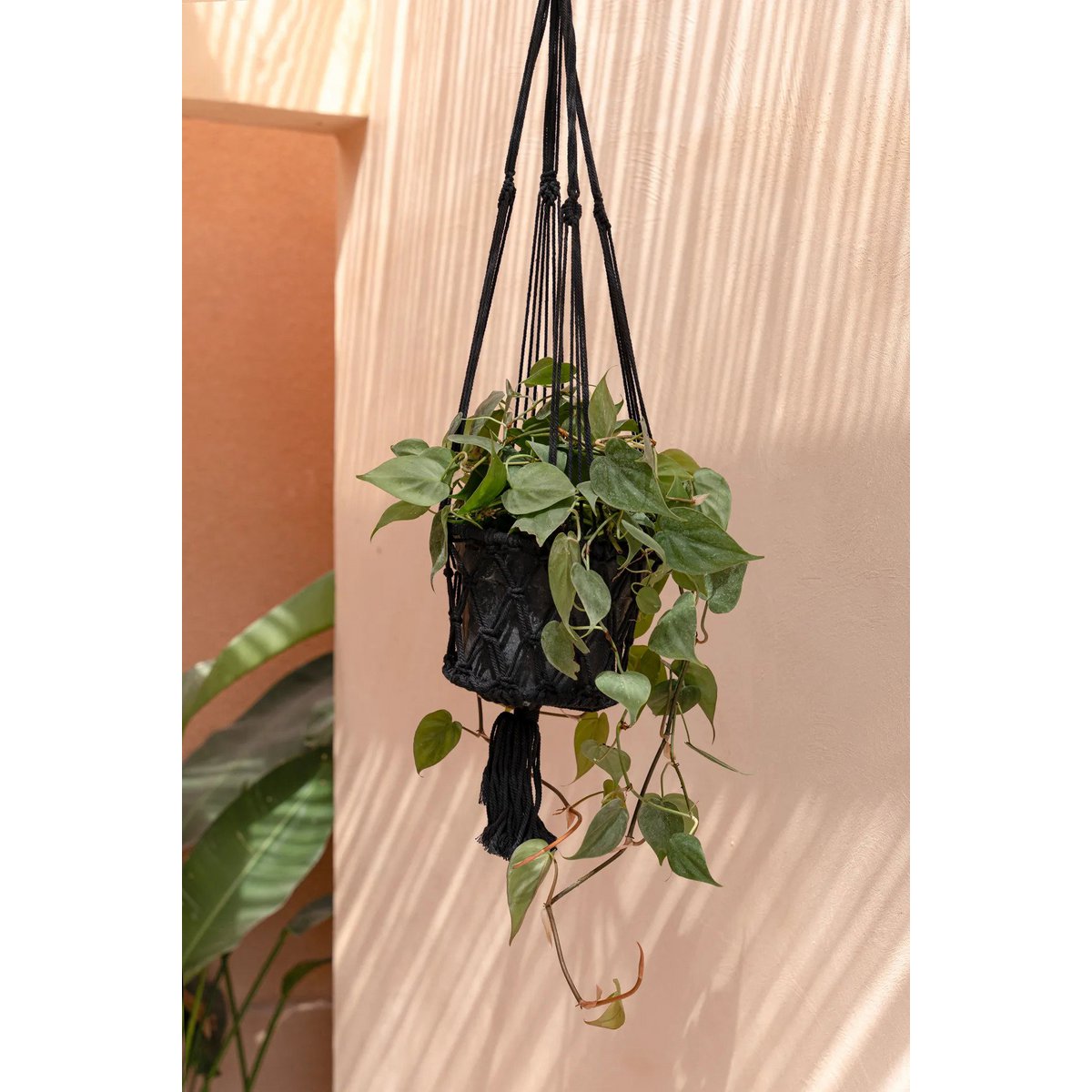 El Macrame Plant Holder - Black - M