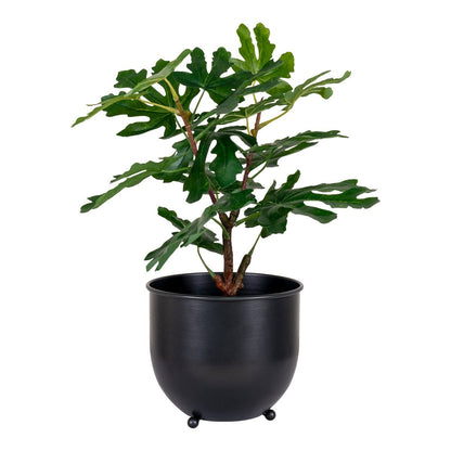Fig Tree - Green, PE Plastic, H:60 cm