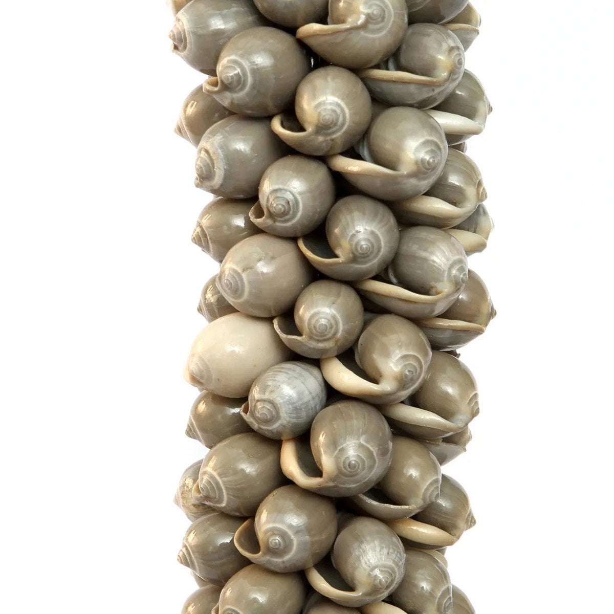 Cotton & Shell Tassel Wall Hanging - Grey Bohemian Decor