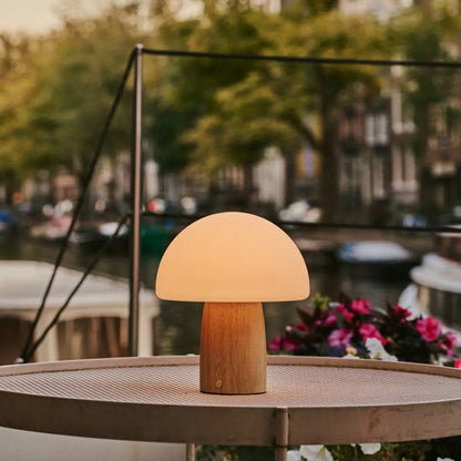 Cordless Table Lamp - Light Brown Dimmable Accent Lamp