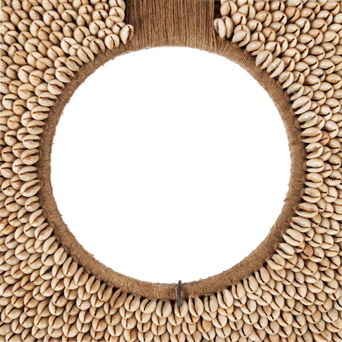 Seashell Display on Stand - Natural Coastal Decor, Shell Réunion