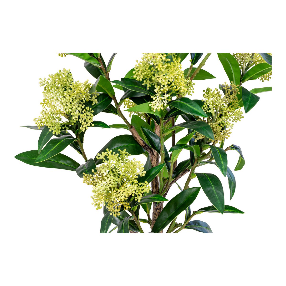 Skimmia Tree - Green, PE Plastic, H:75 cm