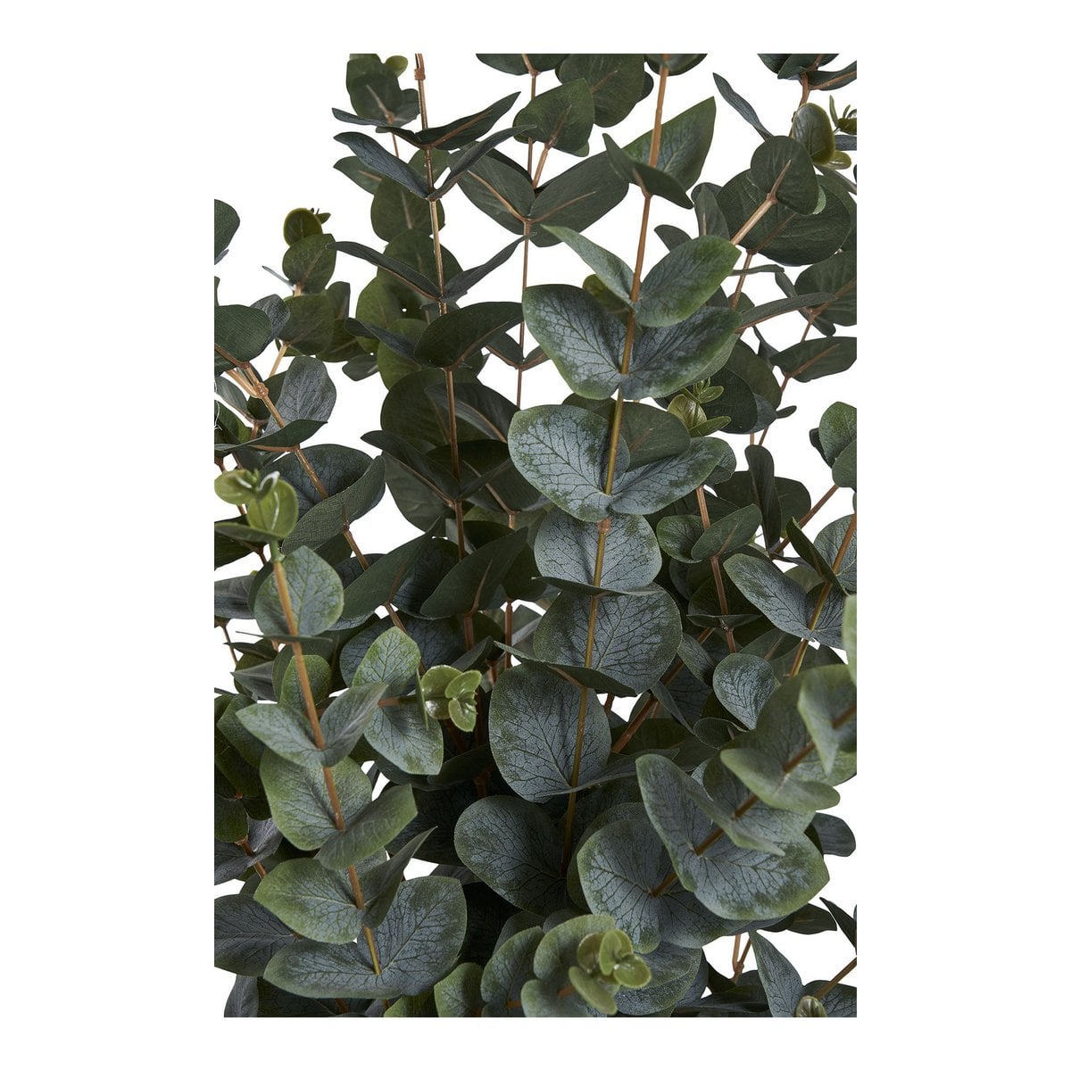 Artificial Eucalyptus Tree – 120cm Realistic Green Faux Plant
