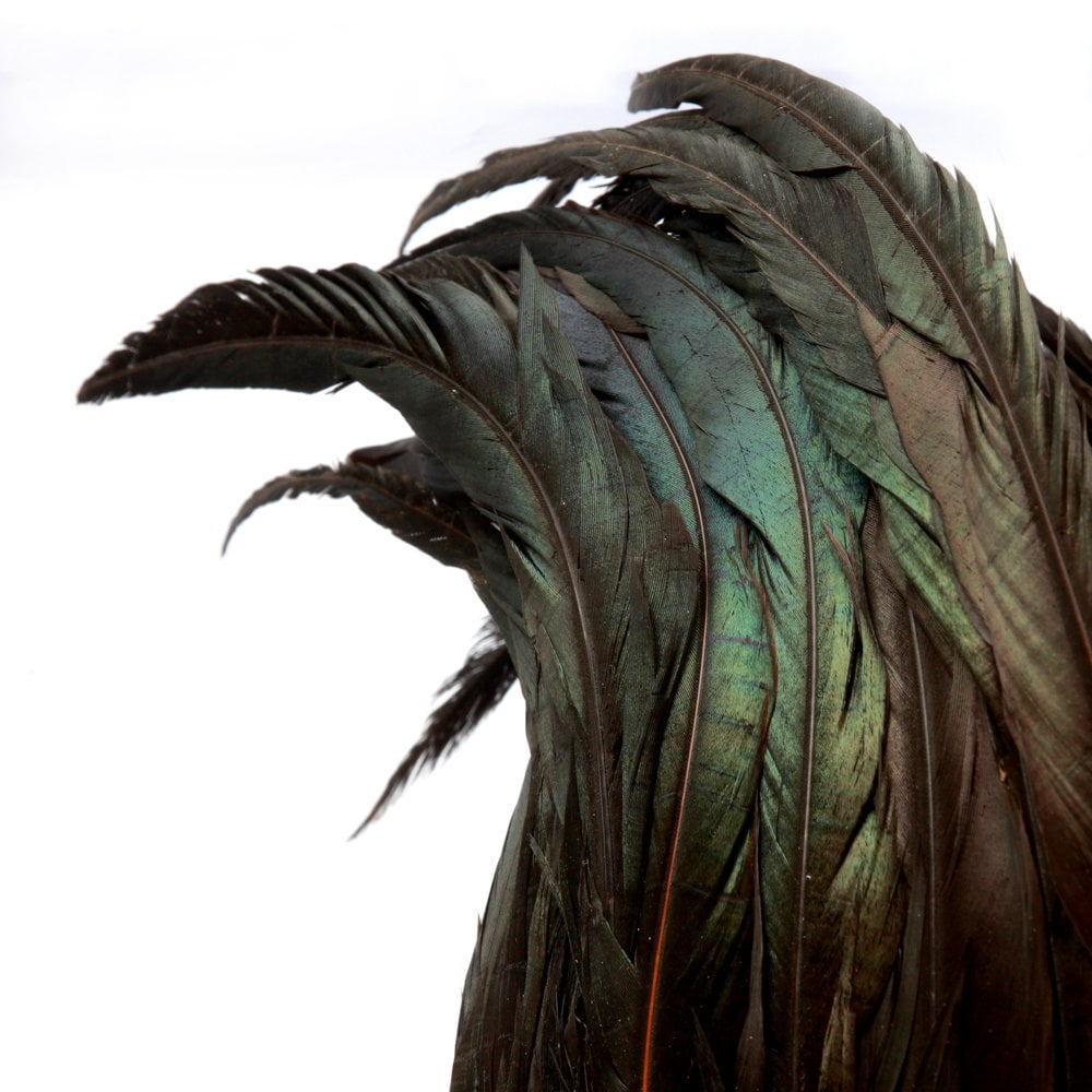The Papua Feather Hat on Stand - Black