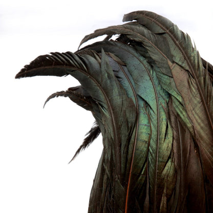 The Papua Feather Hat on Stand - Black