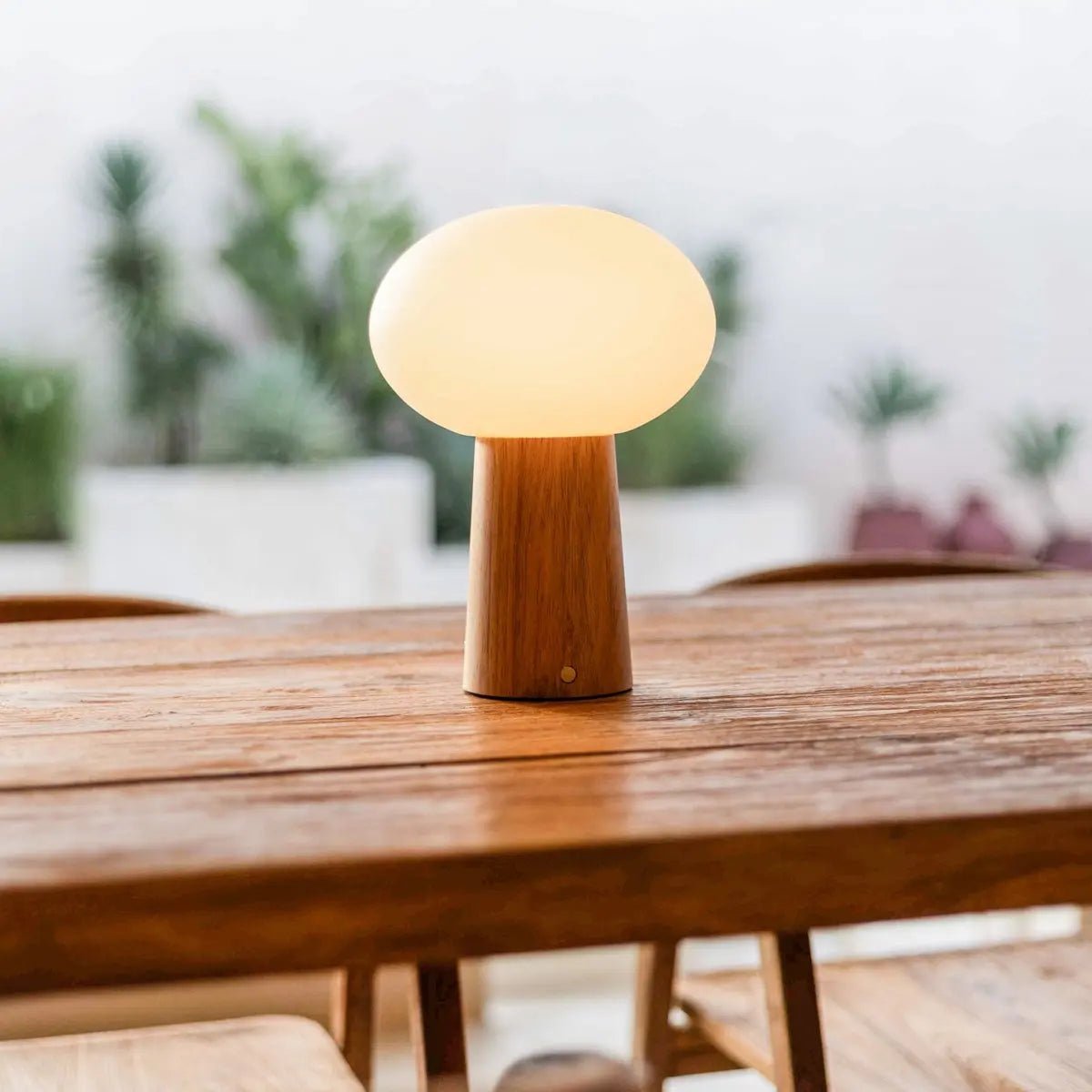 Max Light Brown Wooden Cordless Table Lamp | Rechargeable, Glass & Sustainable Design